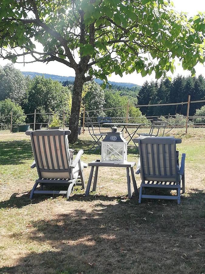 Chambre D'Hote Equestre Au Petit Bonheur Chateldon Exteriér fotografie