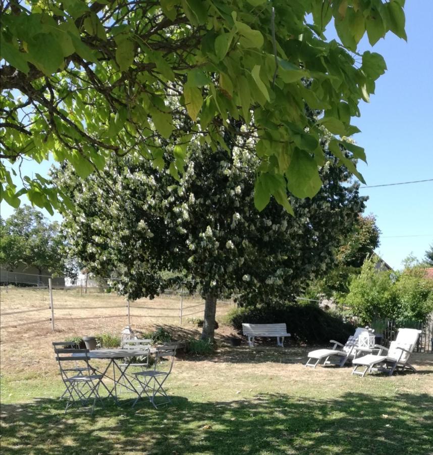 Chambre D'Hote Equestre Au Petit Bonheur Chateldon Exteriér fotografie