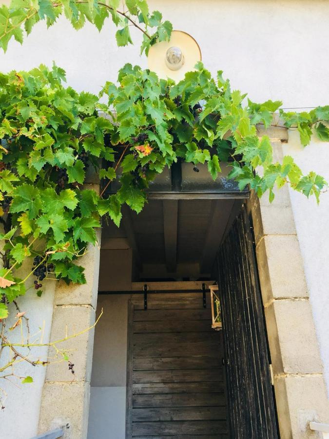 Chambre D'Hote Equestre Au Petit Bonheur Chateldon Exteriér fotografie