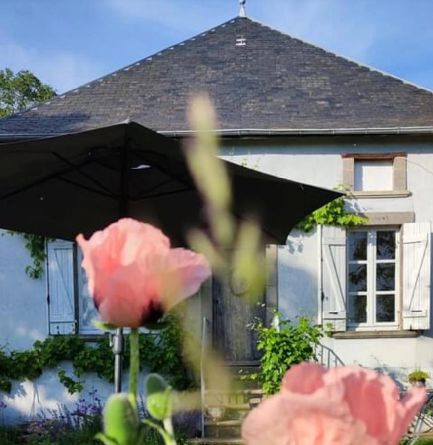 Chambre D'Hote Equestre Au Petit Bonheur Chateldon Exteriér fotografie